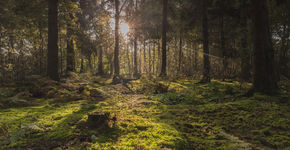 IGOV Kenniscafé Licht op Landschap